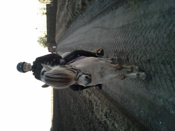 Billede