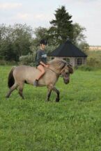 Billede