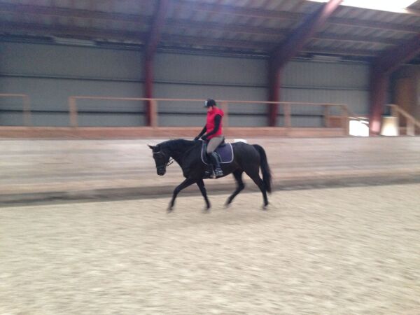 Billede