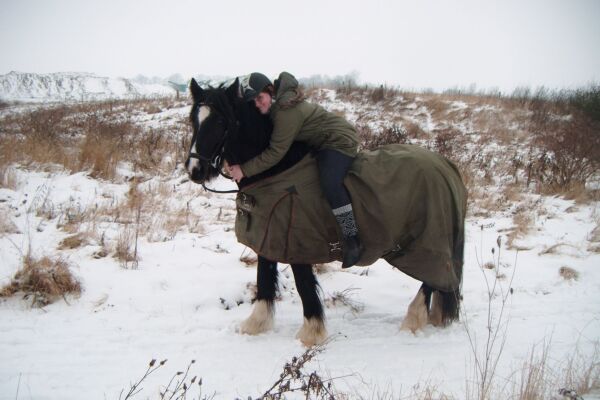 Billede