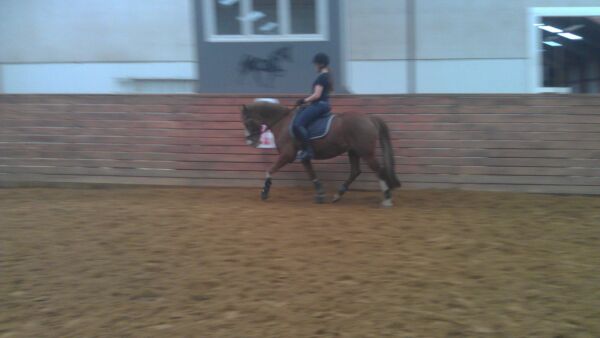 Billede