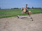 Billede