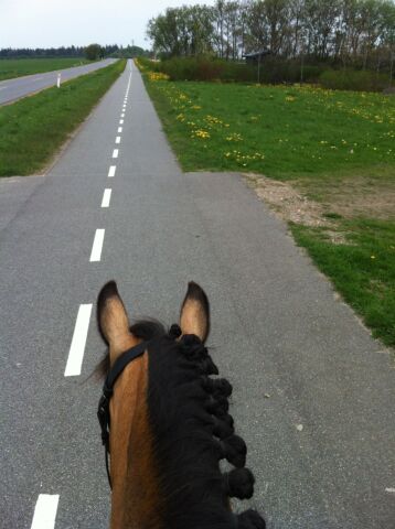Billede