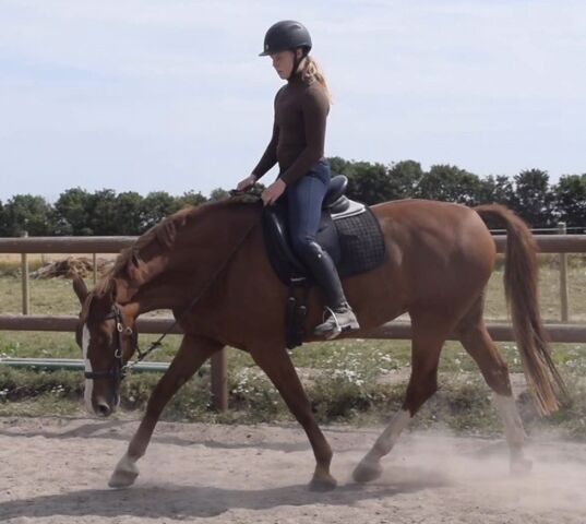 Billede