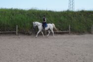 Billede