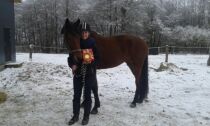 Billede