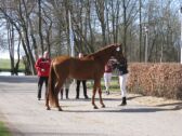 Billede