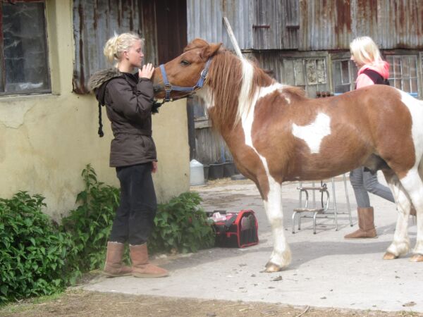 Billede