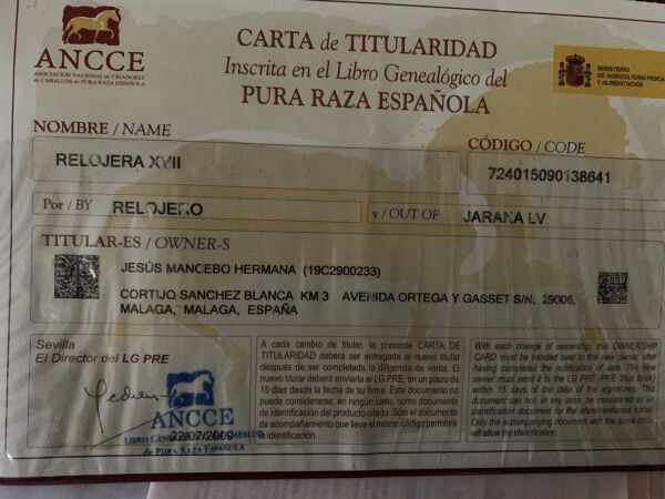 Billede