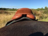 Billede