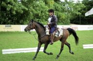 Billede