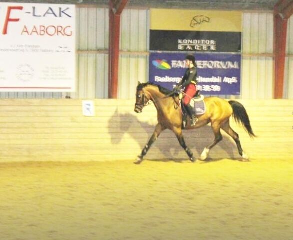 Billede