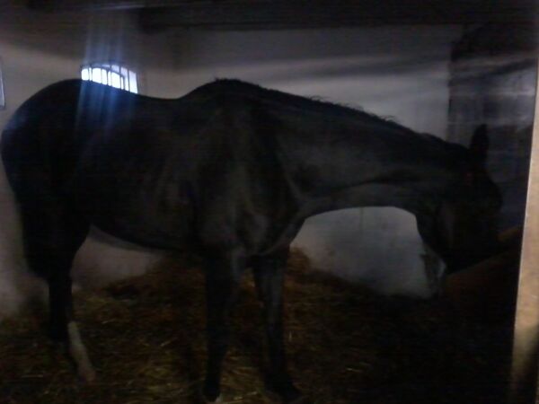 Billede
