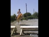 Billede