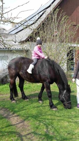 Billede