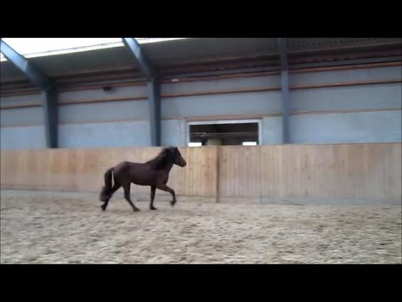 Billede