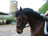 Billede