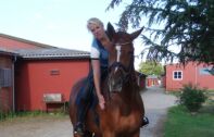 Billede