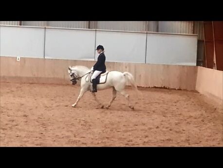 Billede