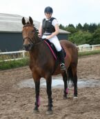 Billede