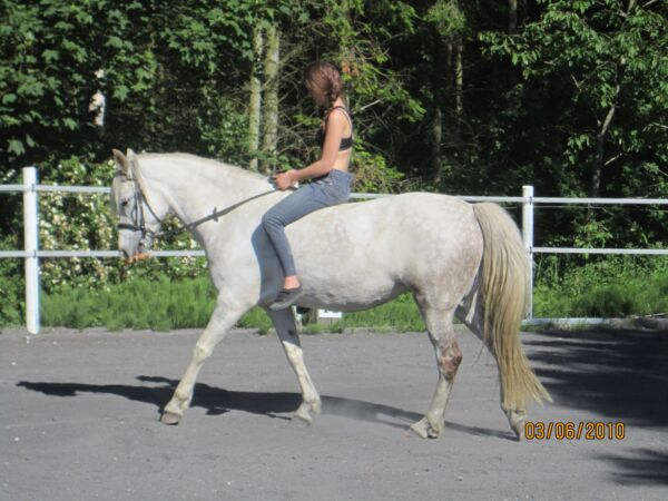 Billede