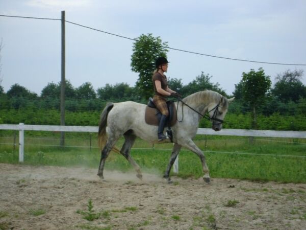 Billede