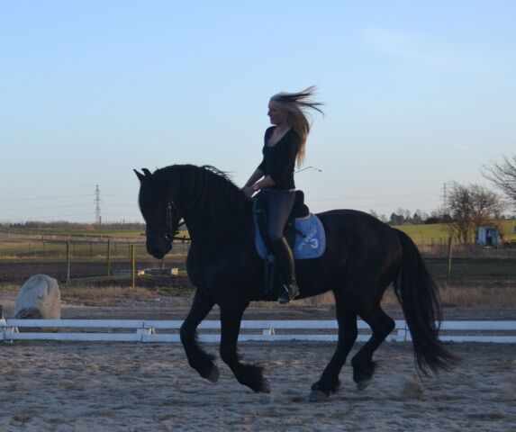 Billede