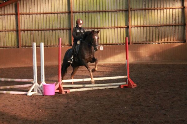 Billede