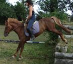 Billede