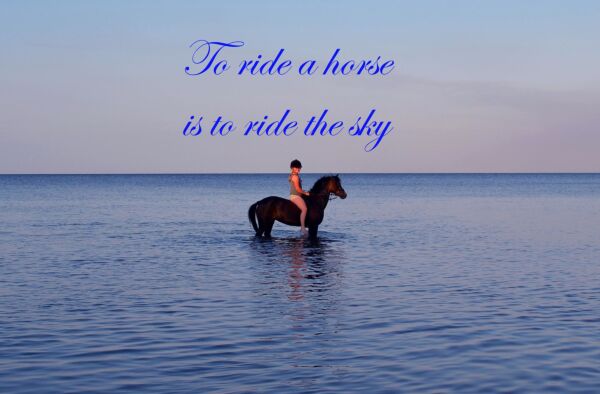 Billede