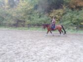 Billede