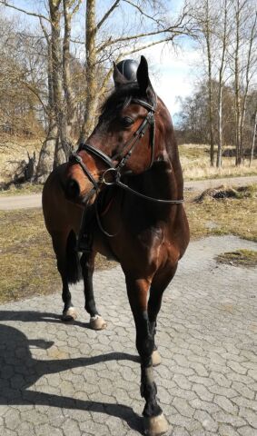 Billede