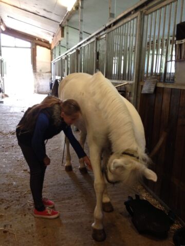 Billede