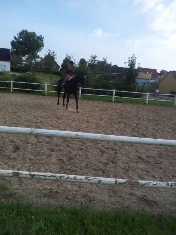 Billede