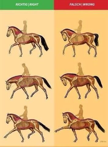 Billede