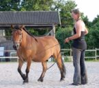 Billede