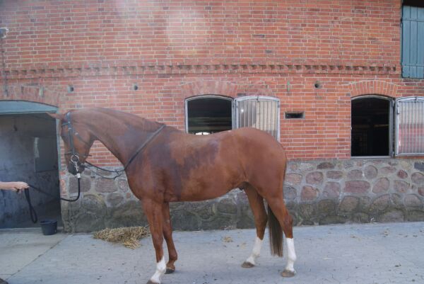 Billede