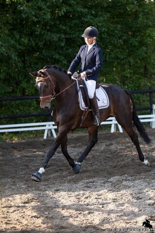 Billede