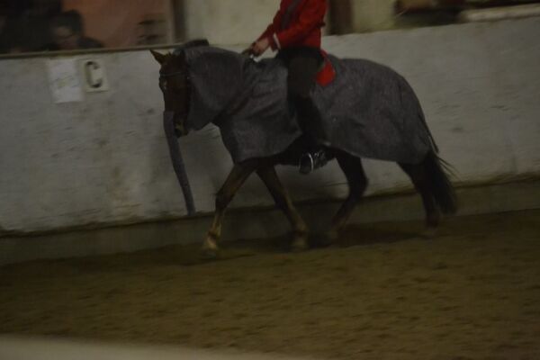 Billede