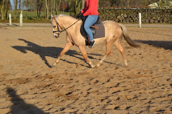 Billede