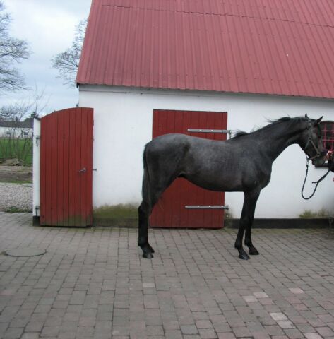 Billede