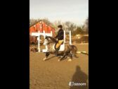 Billede