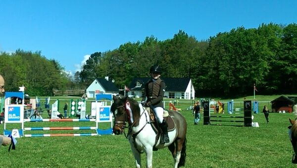 Billede