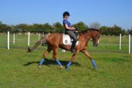 Billede