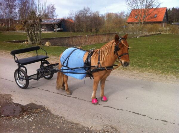 Billede