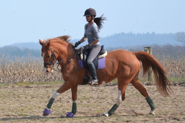 Billede