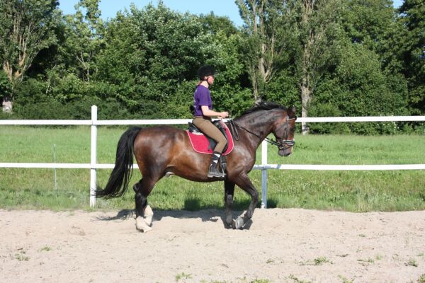 Billede