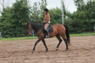 Billede
