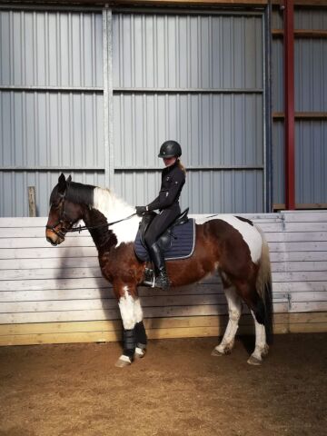 Billede
