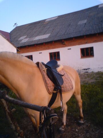 Billede